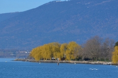 Lake Neuchatel