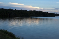 Lake Albert