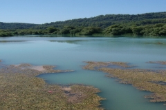 Alfeios River